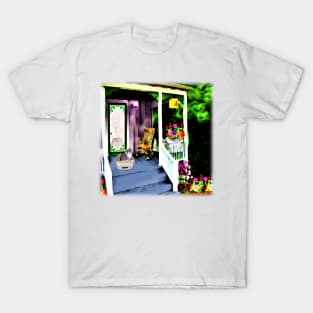 Cat on the porch T-Shirt